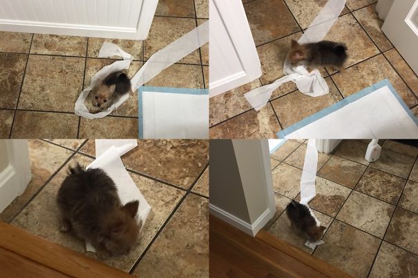 What? It Was Like That When I Got Here.