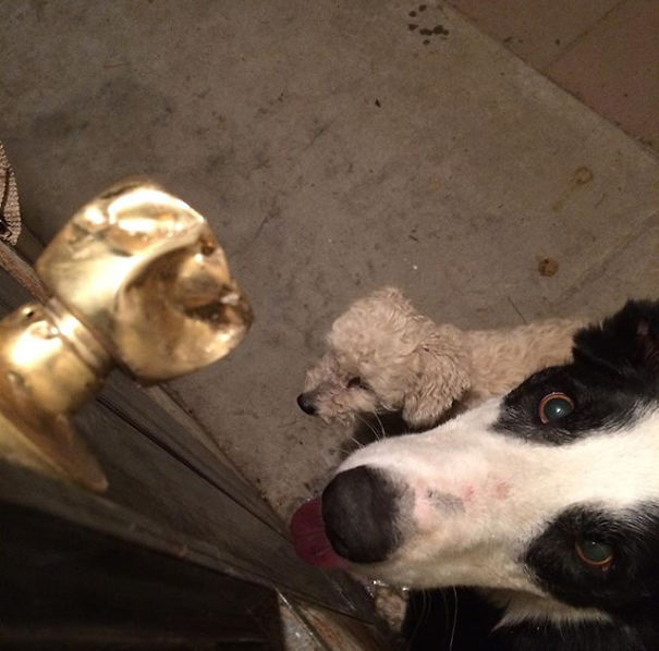 “so I Noticed You Left Me Outside While No One Was Home So I Tried To Let Myself In.”