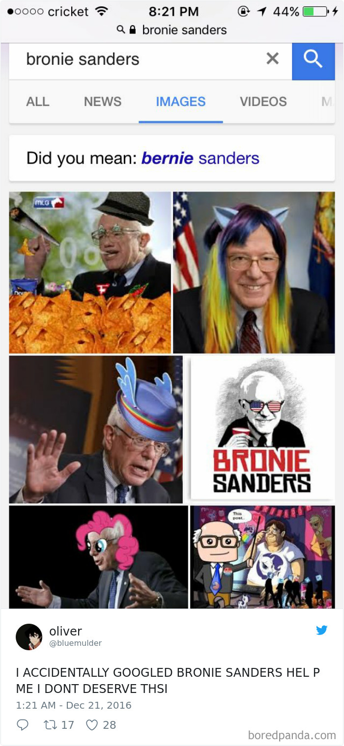 Funny-Accidental-Google-Searches