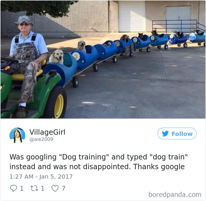 Funny-Accidental-Google-Searches
