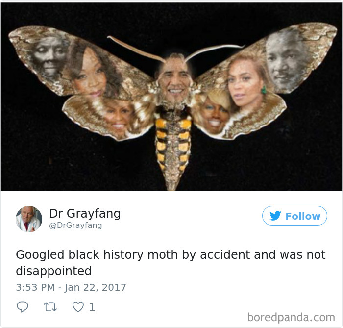 Funny-Accidental-Google-Searches