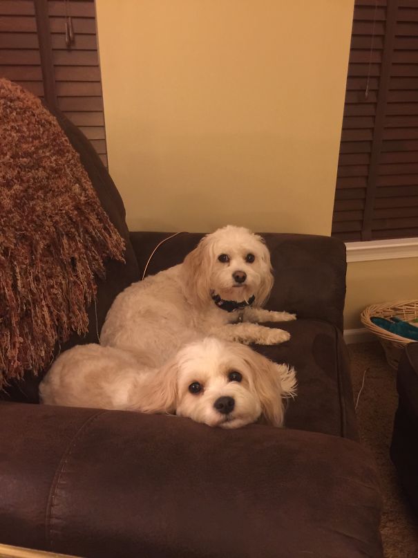 I Get Out Of My Seat For Five Minutes And They Take Over The World!