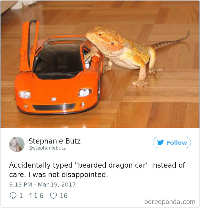 Funny-Accidental-Google-Searches