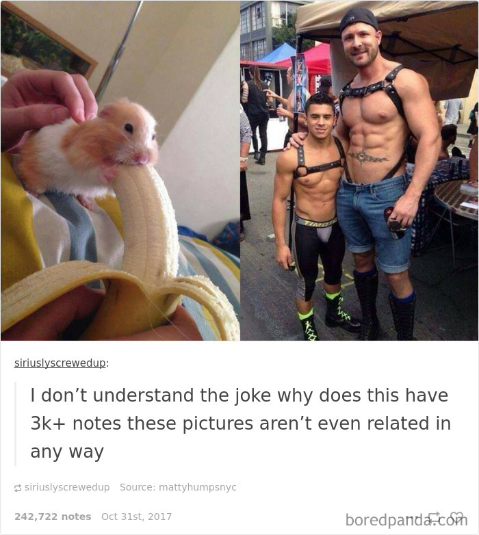 Funny-Examples-Innocent-Minds