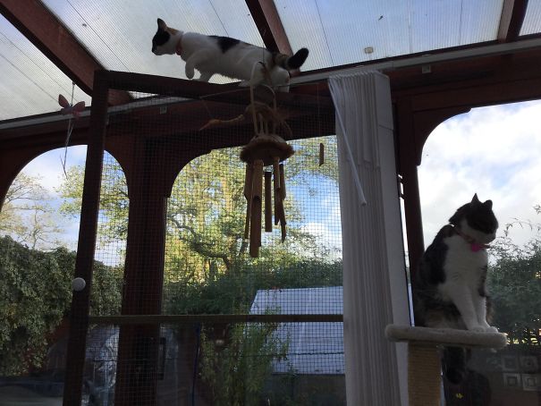 Trying To Get The Leaves On The Outside Of The Roof!