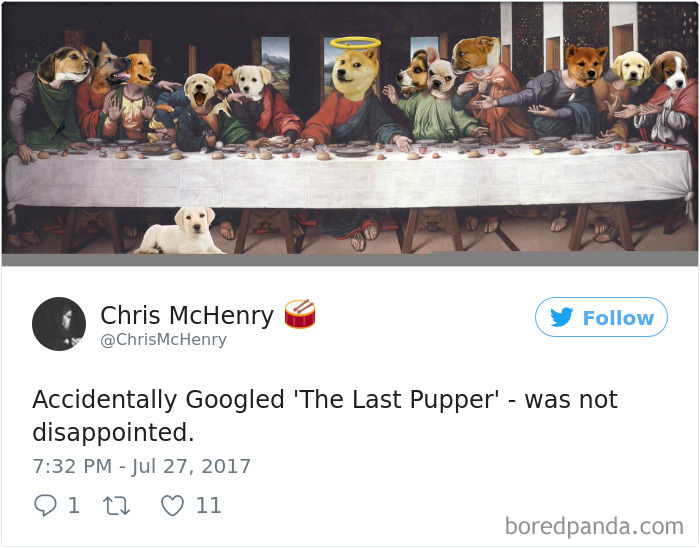 Funny-Accidental-Google-Searches