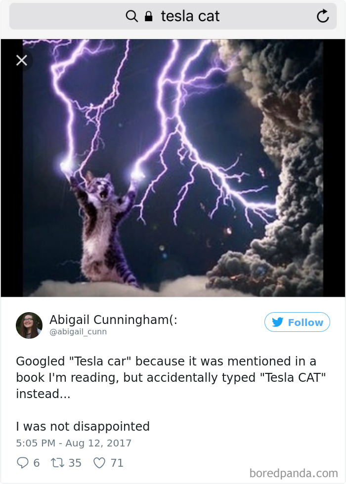 Funny-Accidental-Google-Searches