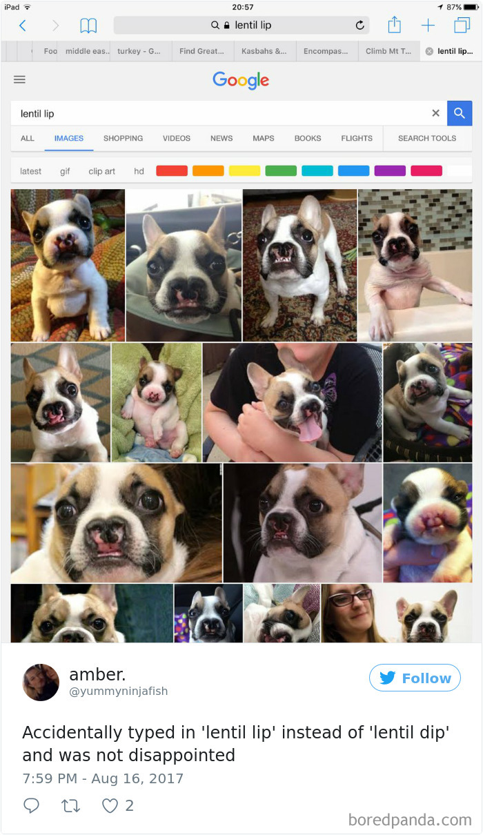 Funny-Accidental-Google-Searches