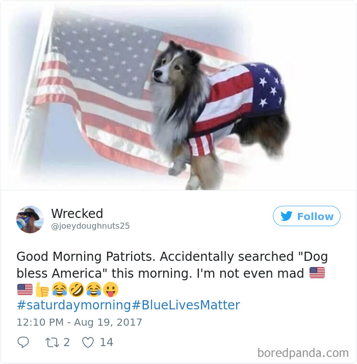 Funny-Accidental-Google-Searches