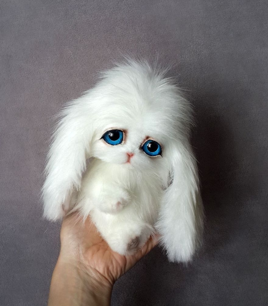 Amazing Warming Tenderness: 20 Furry Puppies, Kittens And Foxcubs Straight From Siberia