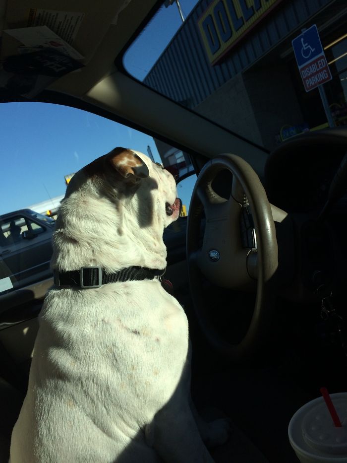 My Lexi Lou Is Driving:)