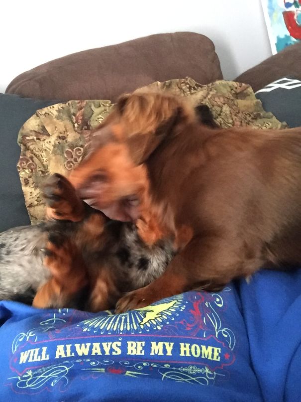 They Think It’s Okay To Use Me As A Play Set