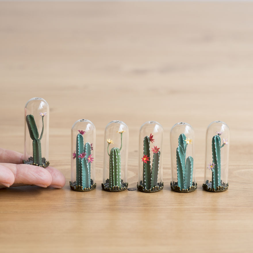 Tiny Terrariums With Miniature Paper Plants, Blooming Cacti And Flowers