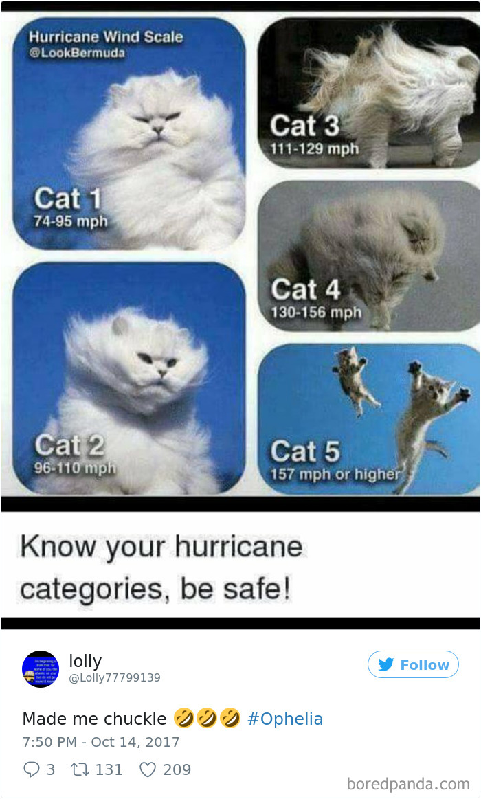 Hurricane-Ophelia-Ireland-Reactions
