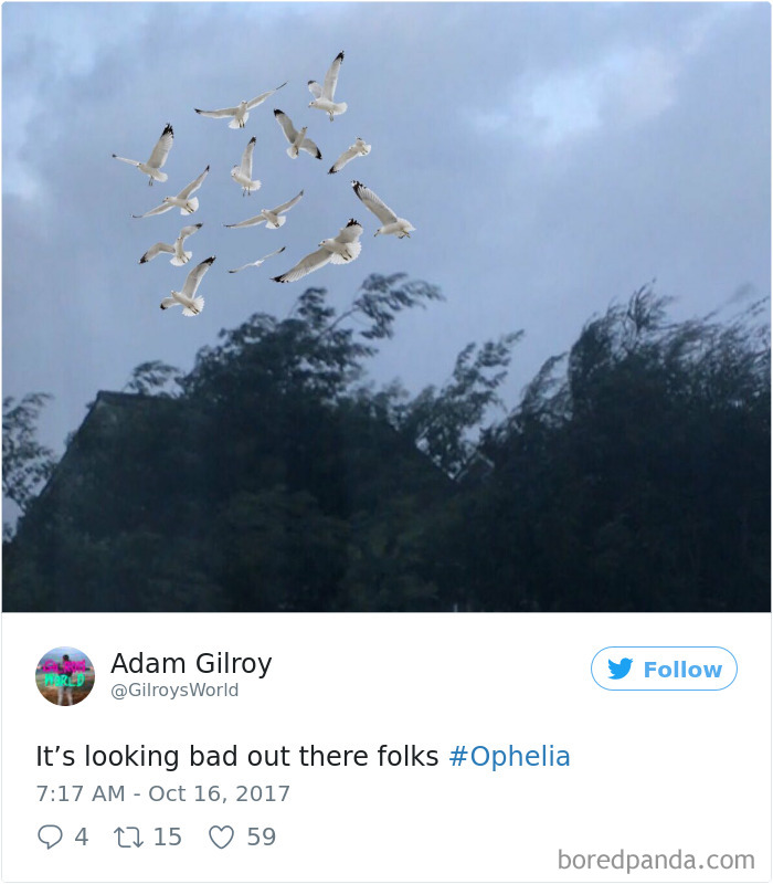 Hurricane-Ophelia-Ireland-Reactions