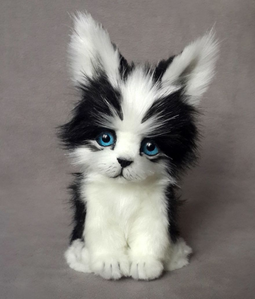 Amazing Warming Tenderness: 20 Furry Puppies, Kittens And Foxcubs Straight From Siberia