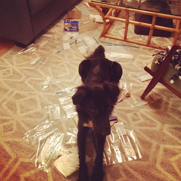 I Was Little Late Coming Home, So He Redecorated The Living Room