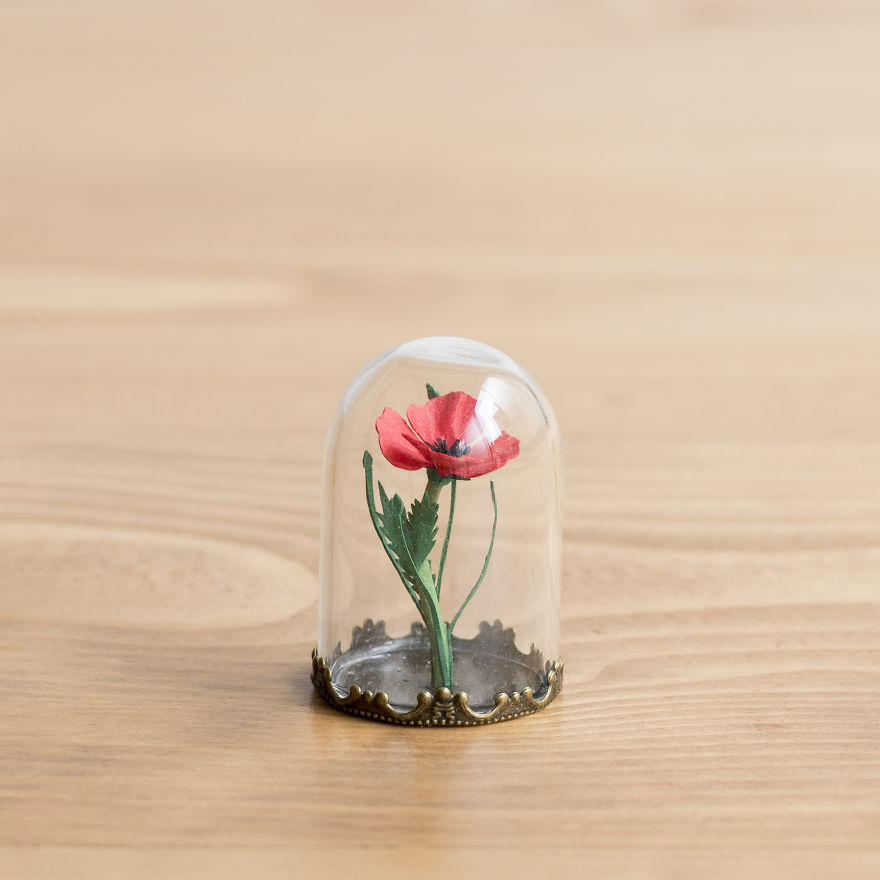 Tiny Terrariums With Miniature Paper Plants, Blooming Cacti And Flowers