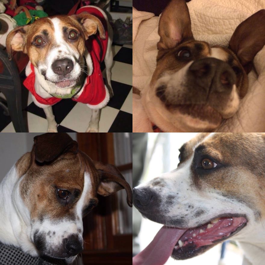 Former Death Row Inmate, Snoop Dawg Dawg