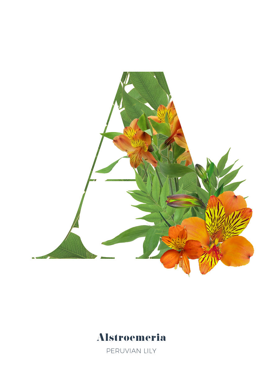 I Wanted To See What The Alphabet Would Look Like Made Out Of Flowers I Wanted To See What The Alphabet Would Look Like Made Out Of Flowers