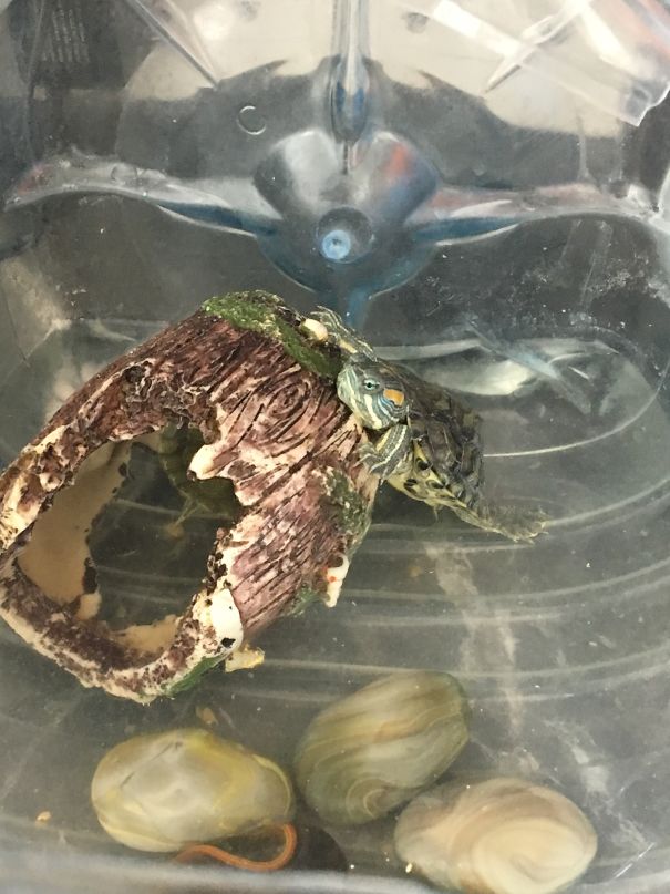 She Thinks She Was “Rose” In Titanic (But Jack Is Hiding Inside Instead) #twisted #plot