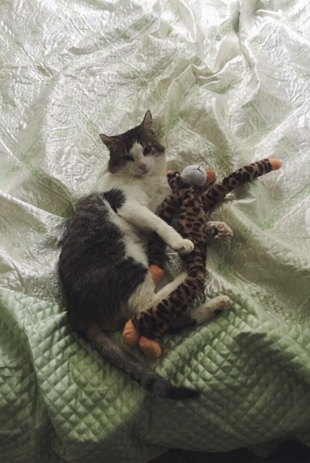 That's Not What You Thought