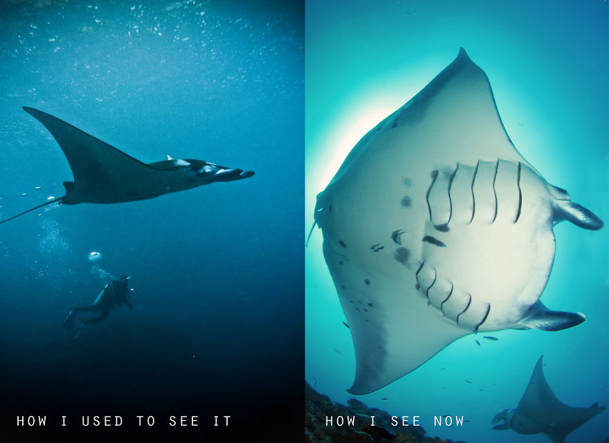 My Underwater Pics Suck. The Remedy...