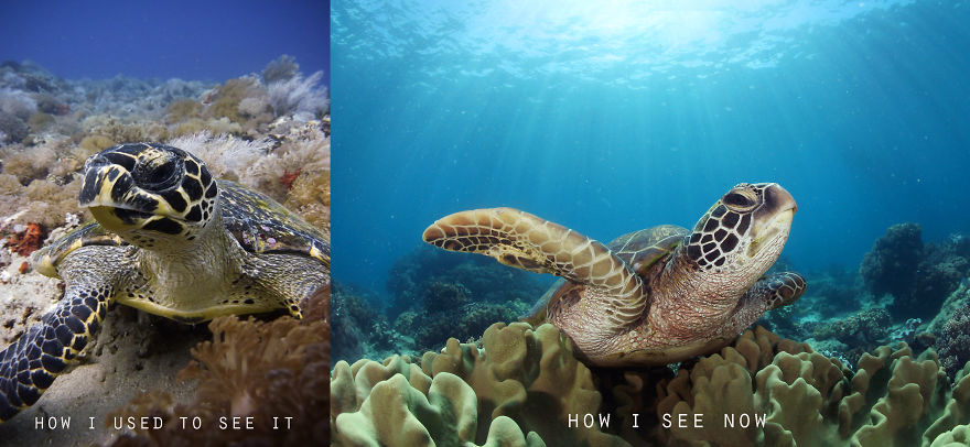 My Underwater Pics Suck. The Remedy...