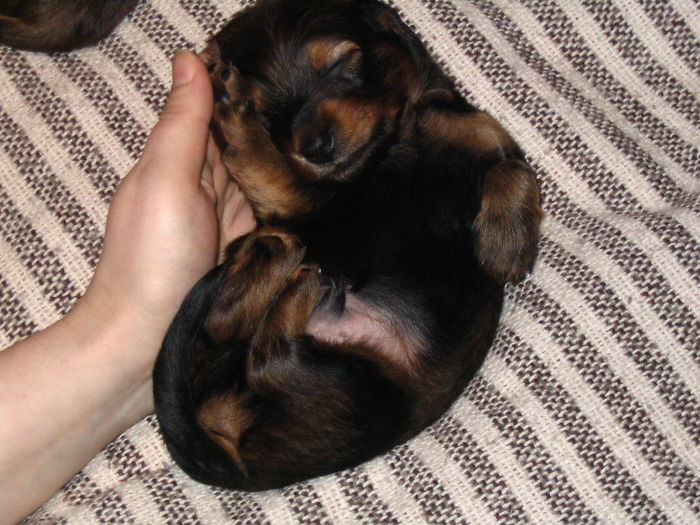 We High-Fived Straig Away. This Was 12 Years Ago