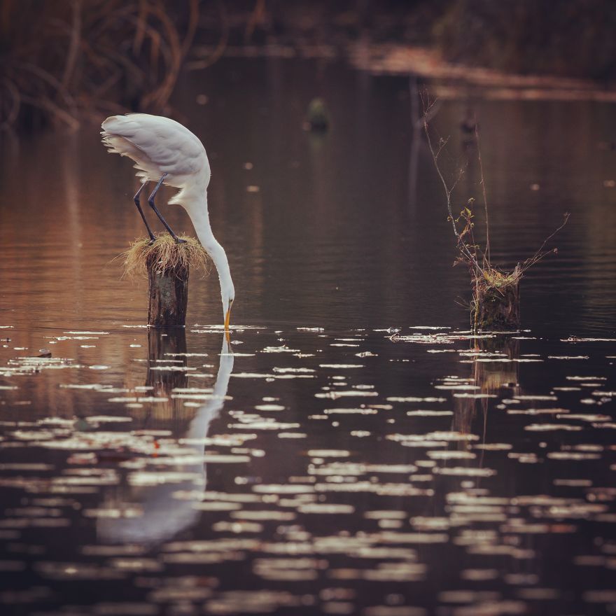 Nature In Japan In The Visual Haiku Style