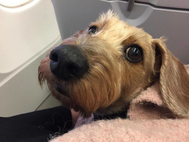 Sulo Travelling Malaga-Helsinki