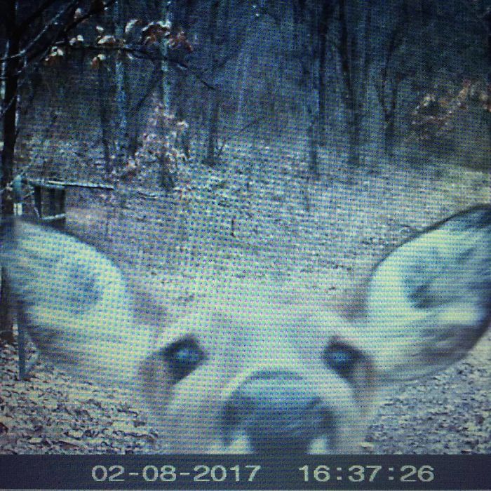 Hello!? Is This Thing On?