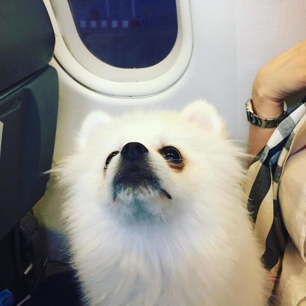 Are You Talking To Me?