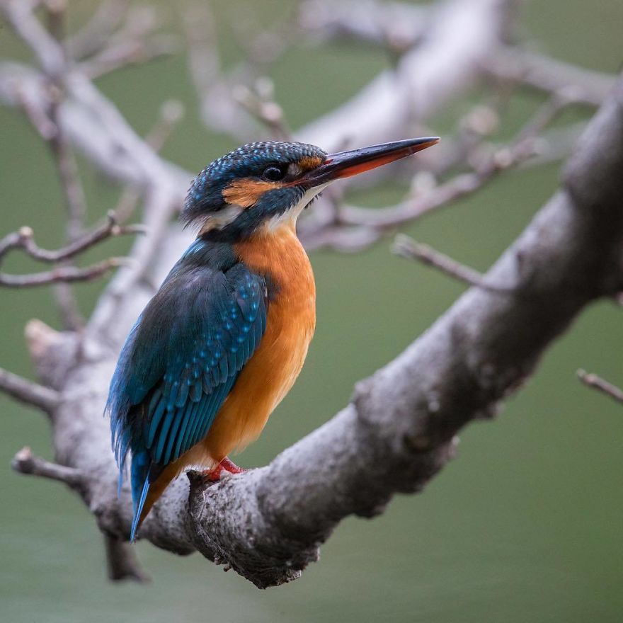 Nature In Japan In The Visual Haiku Style