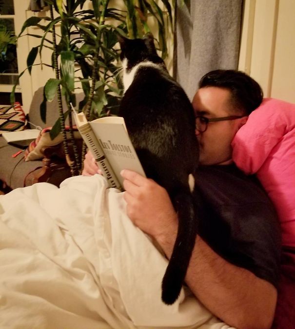 Asscat Strikes Again