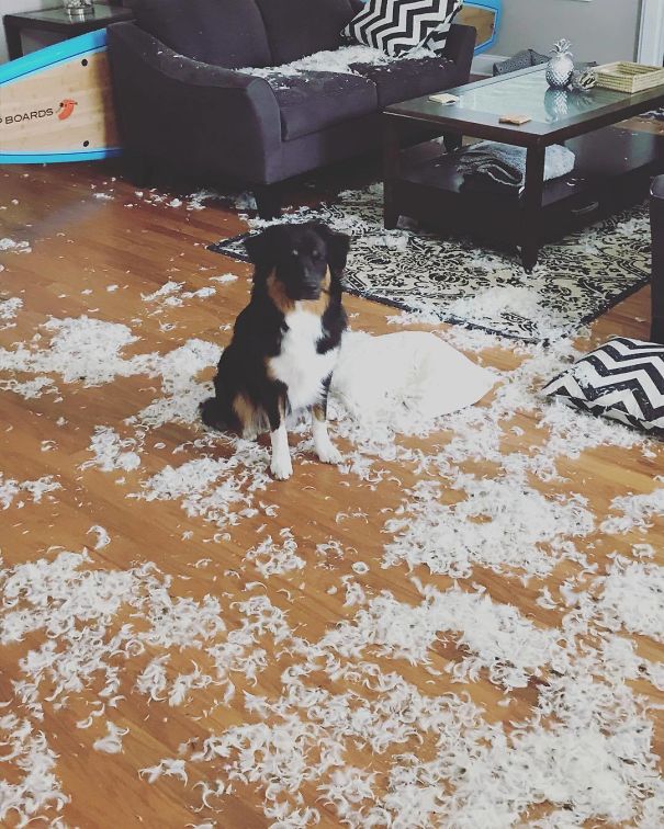 He Can't Even Look At Me, I Asked Him What He Had Done He Just Kept His Eyes Closed