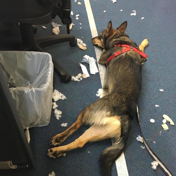 Hard Day At The Office