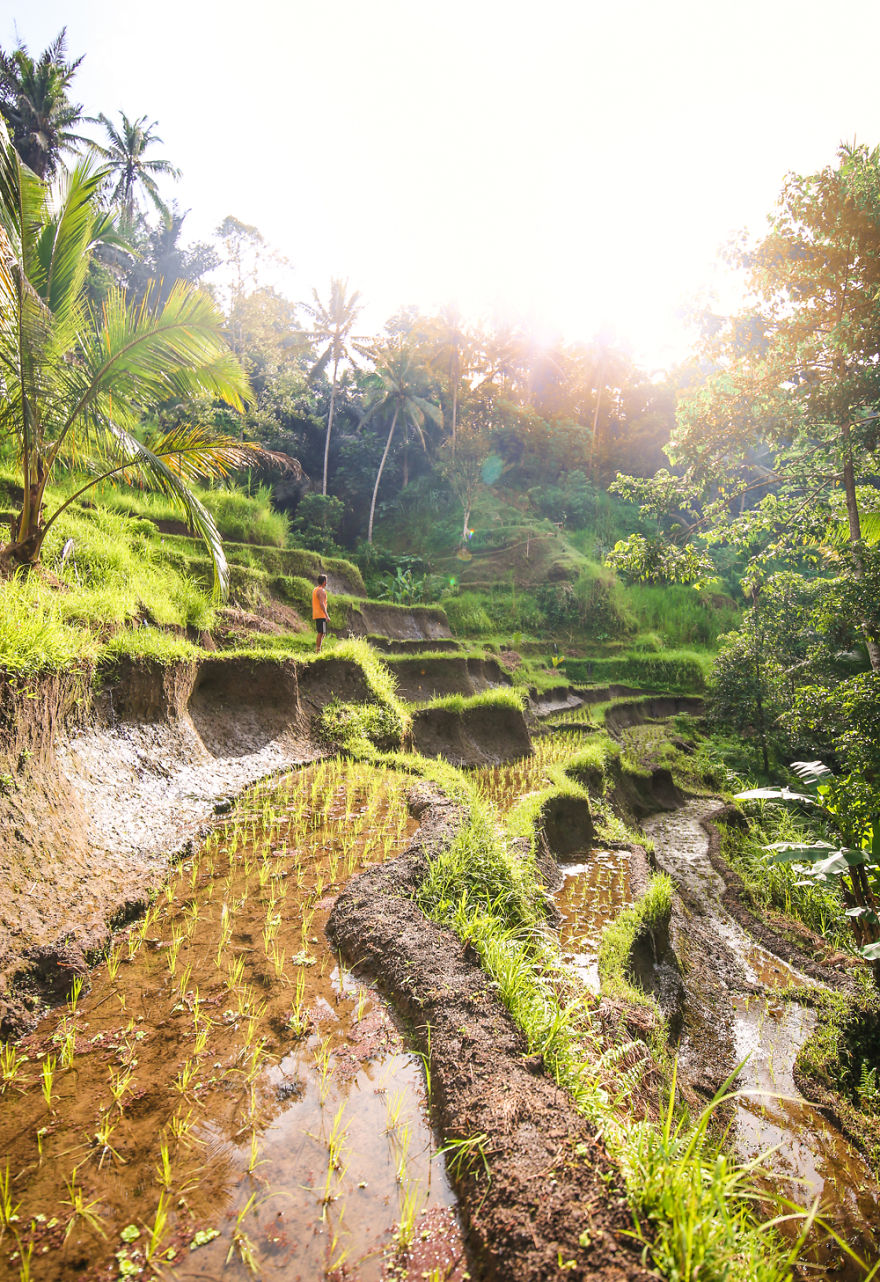We Photographed The Most Beautiful Rice Terraces In Bali
