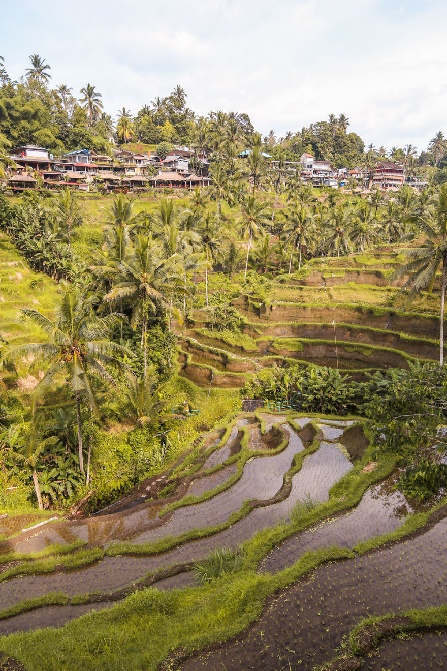 We Photographed The Most Beautiful Rice Terraces In Bali We Photographed The Most Beautiful Rice Terraces In Bali