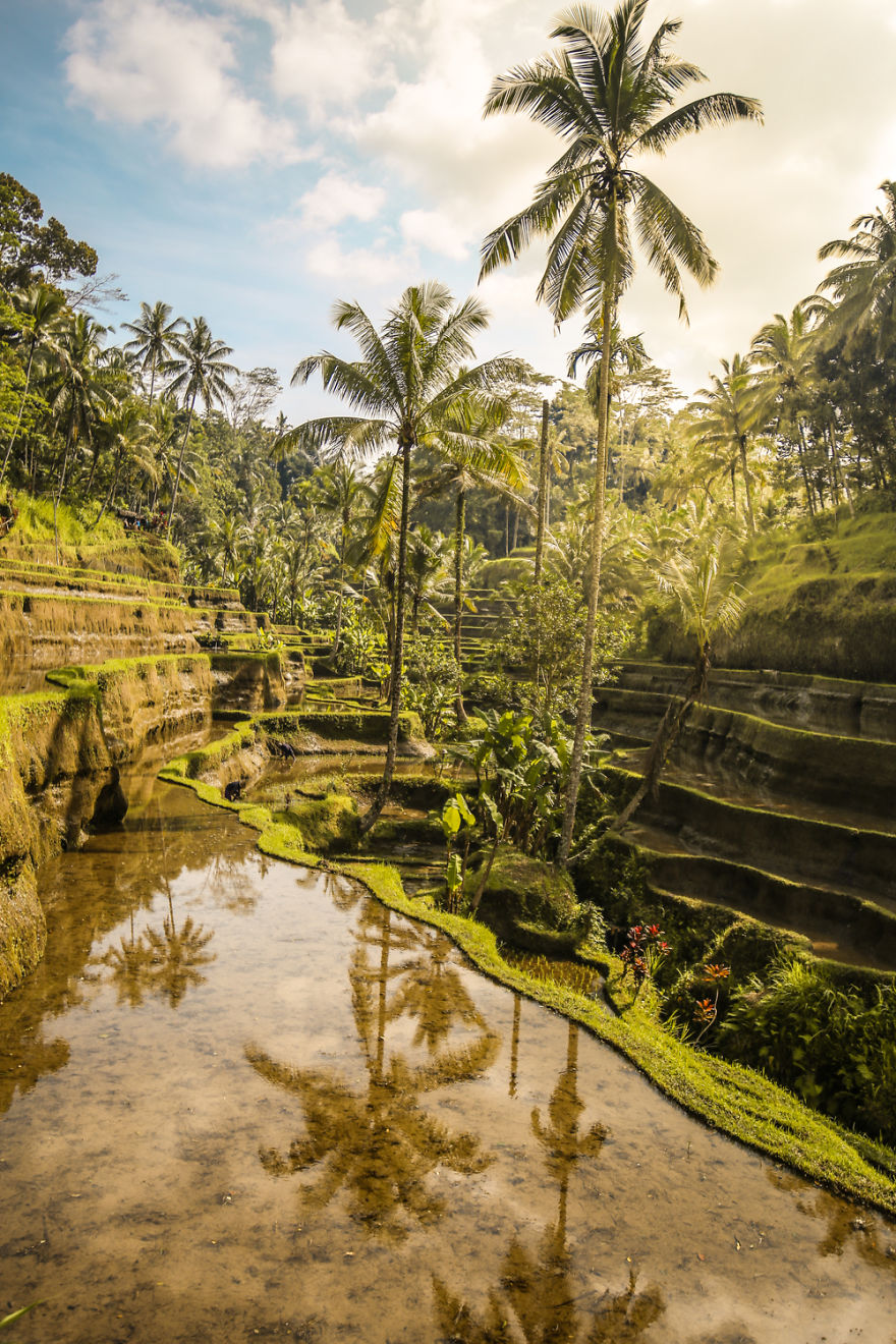 We Photographed The Most Beautiful Rice Terraces In Bali