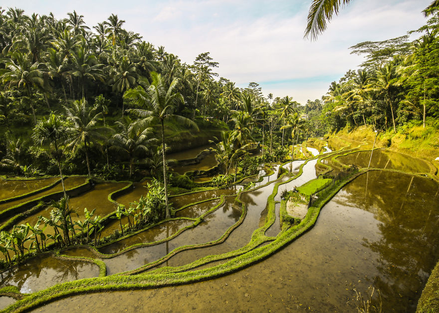 We Photographed The Most Beautiful Rice Terraces In Bali