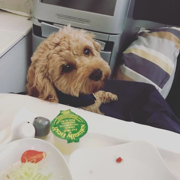 Did You Set Your Table Over Me Mama?