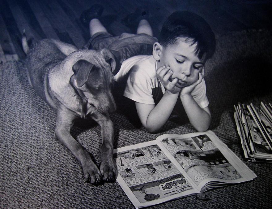 These Vintage Photographs Showing The Relationship Between Animals And People Will Surprise You