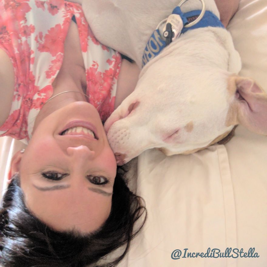 Breast Cancer Survivor And Pit Bull Start Hunger Strike To Raise Awareness