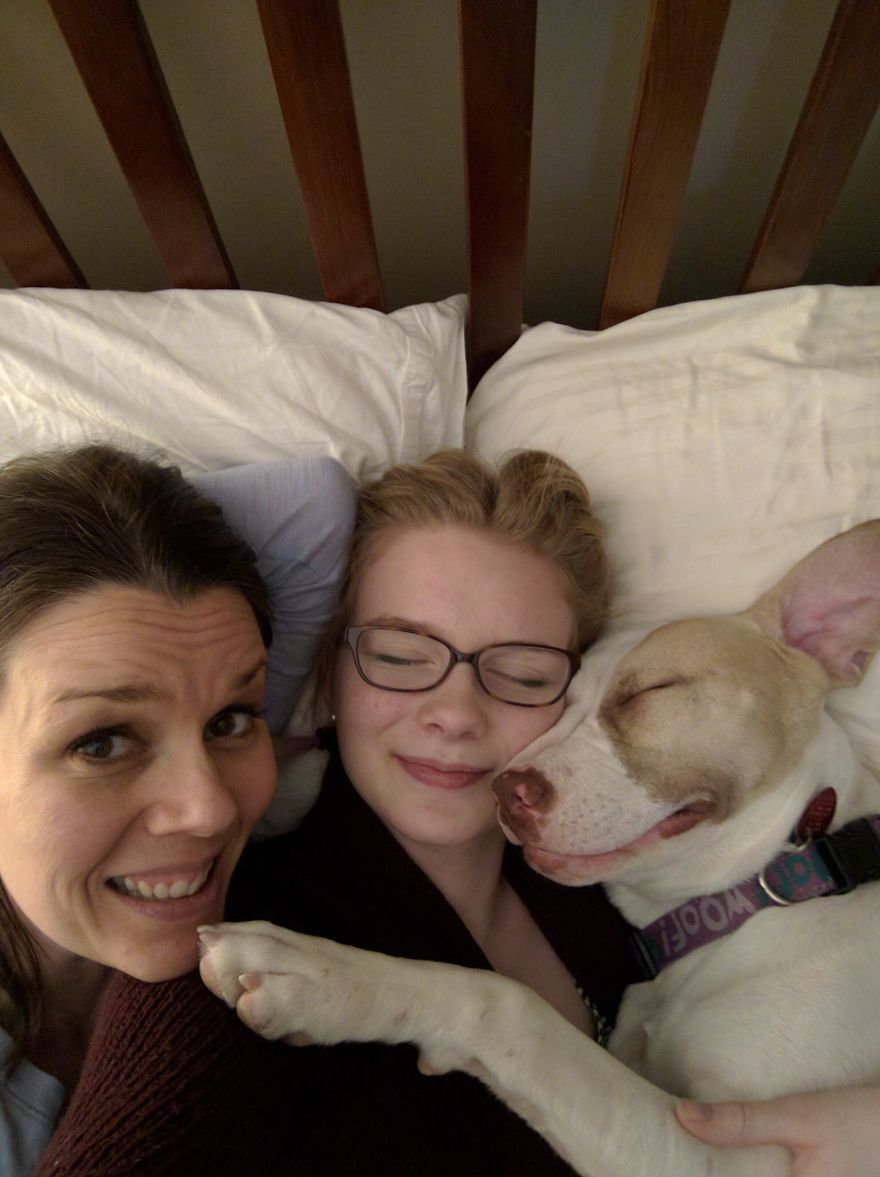 Breast Cancer Survivor And Pit Bull Start Hunger Strike To Raise Awareness