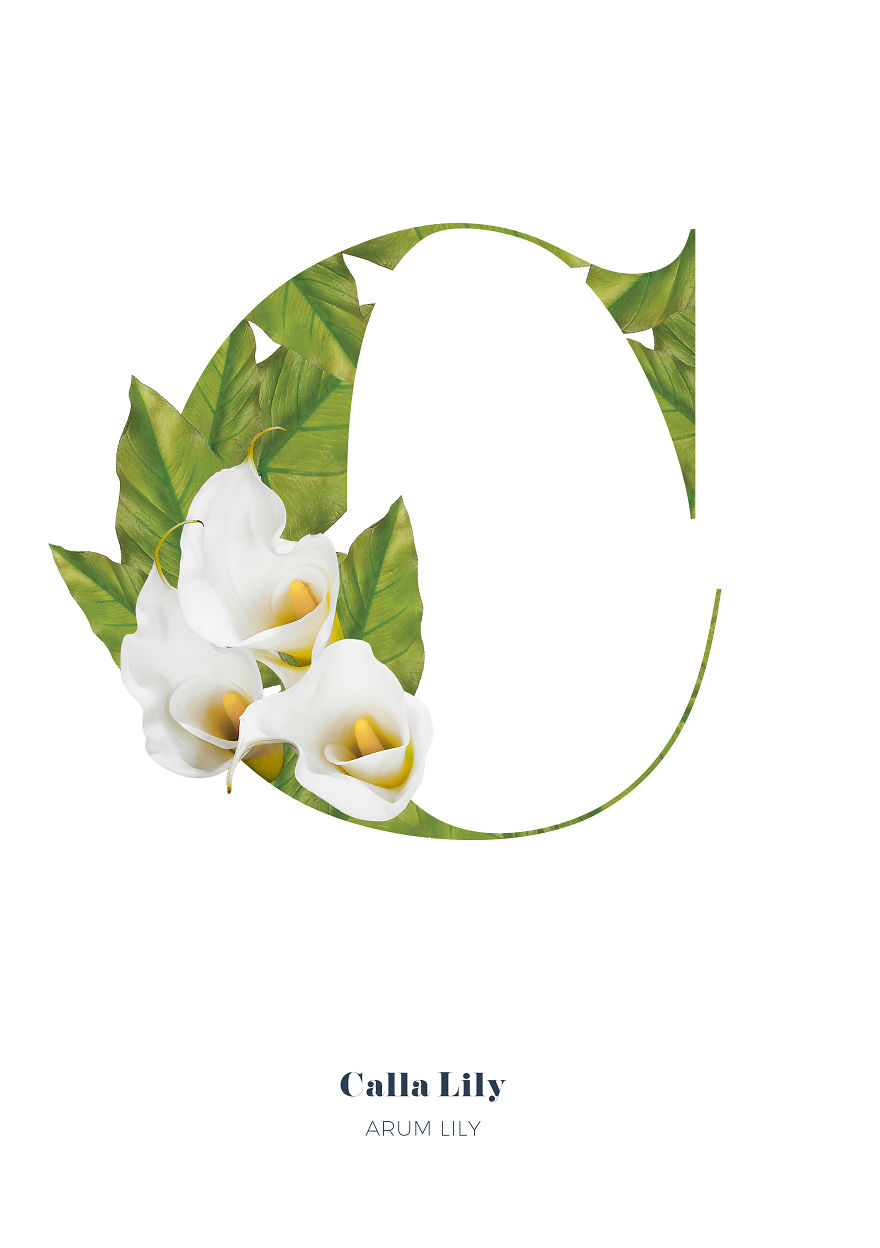 I Wanted To See What The Alphabet Would Look Like Made Out Of Flowers