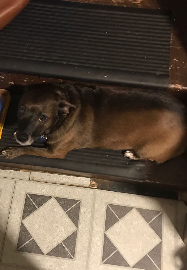 Abbie: “you Shall Not Pass”