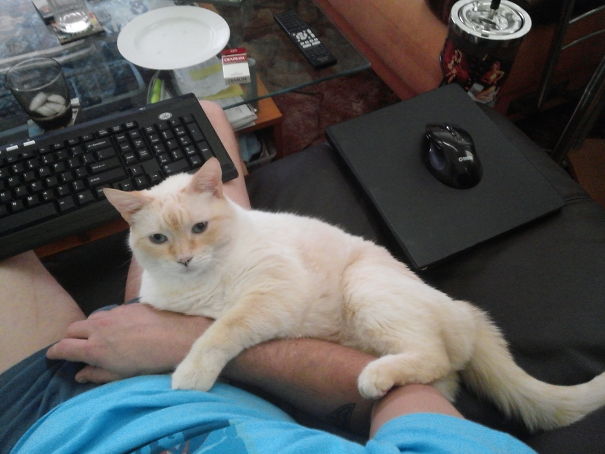 You Don't Need This Arm, Do You?