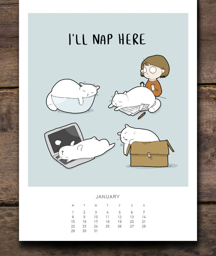 Cats Wall Calendar 2018