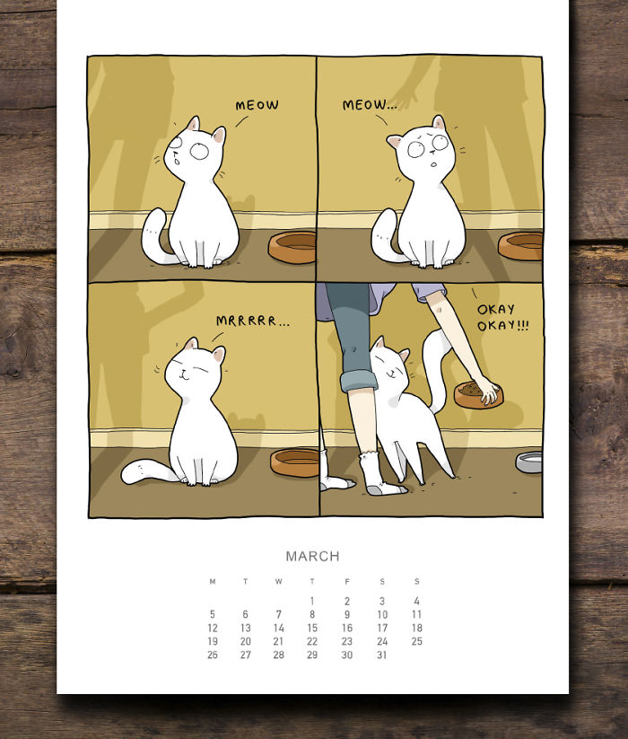 Cats Wall Calendar 2018
